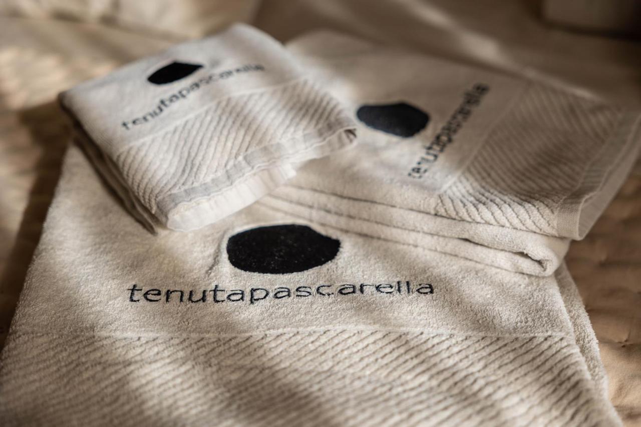 Tenuta Pascarella Bed & Breakfast Frasso Telesino Εξωτερικό φωτογραφία